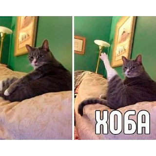 Стикер Пак Алексеюшко - 4