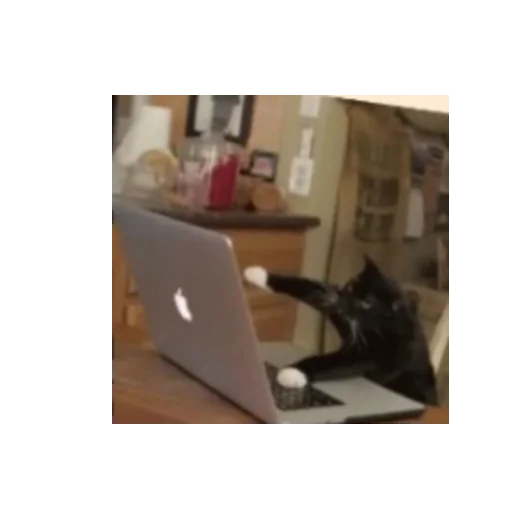 Стикер стикеры - 5