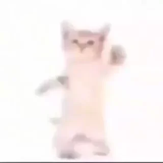 Стикер тупа я - 10