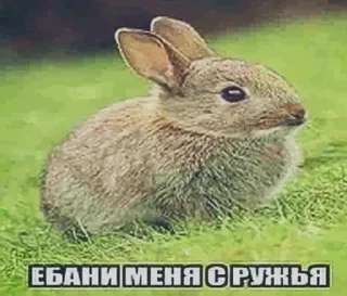 Стикер тупа я - 5