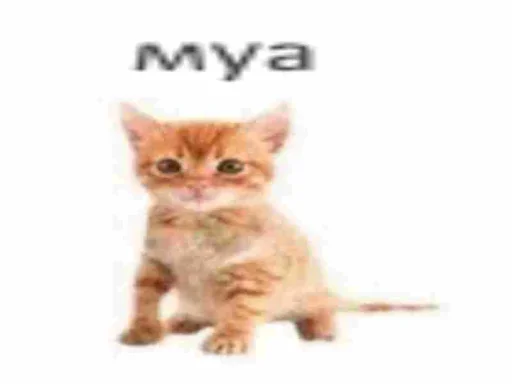 Sticker axyenniestickers - 1