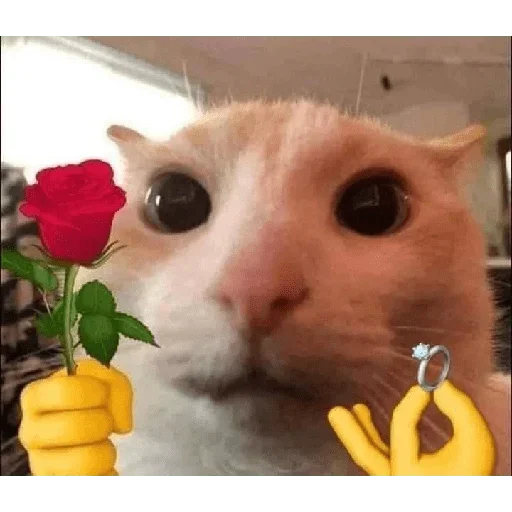 Стикер 9ammo stickers - 7