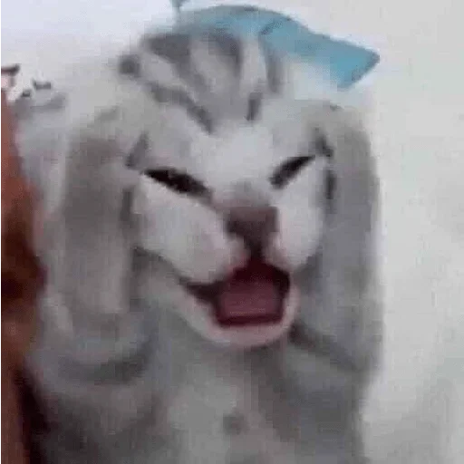 Стикер 9ammo stickers - 4