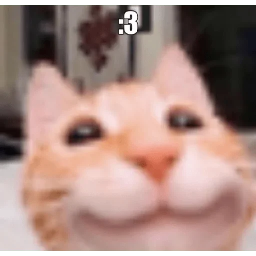 Стикер 9ammo stickers - 1