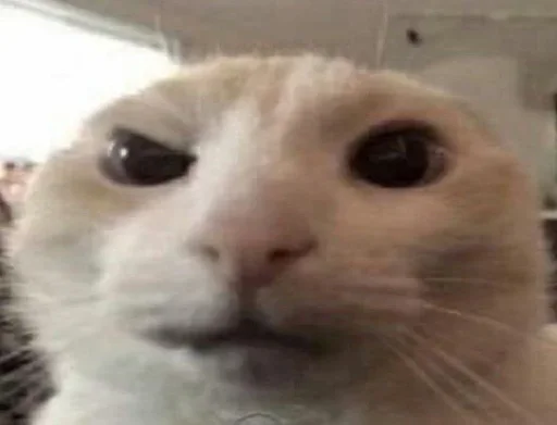 Стикер 9ammo stickers - 0