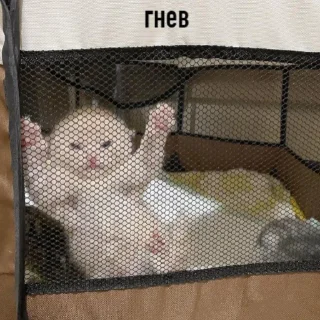 Sticker нужная хуйня. - 8