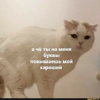 Sticker нужная хуйня. - 11