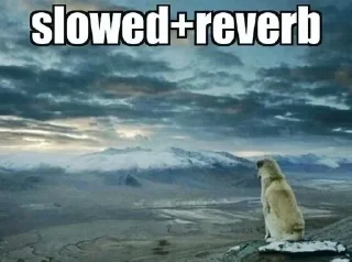 Sticker Больше стикеров 👉🏻 @stickertg4 - 7