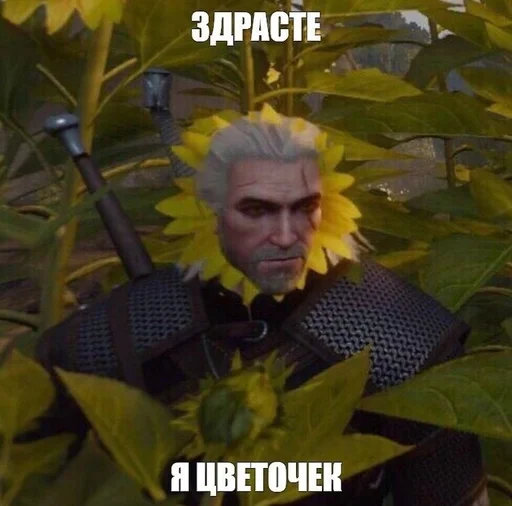 Стикер мне панк я похуй by @fStikBot - 3