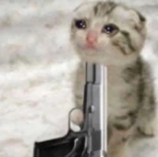 кошка оружие животное