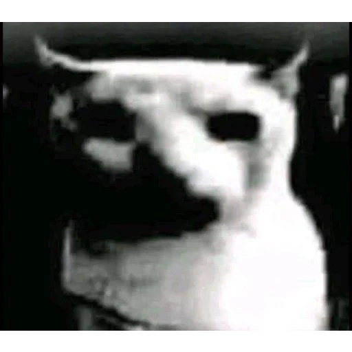 Sticker ayobanibobani - 1