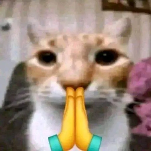 Sticker ayobanibobani - 1