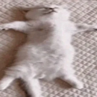 Sticker еееуууугагагабулакака - 9