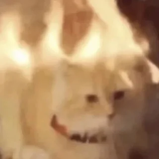 Sticker еееуууугагагабулакака - 4