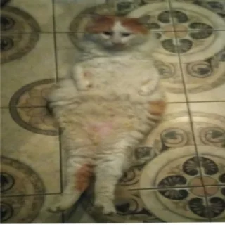 Sticker еееуууугагагабулакака - 0