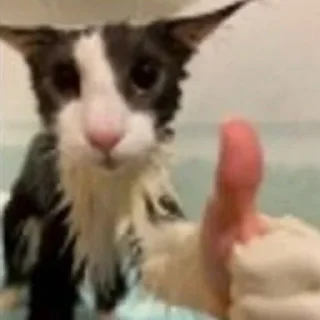 Sticker еееуууугагагабулакака - 11