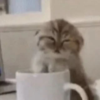 Sticker еееуууугагагабулакака - 6