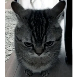 Sticker еееуууугагагабулакака - 3