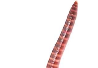 Sticker Создано в @sozdsti_bot - 11