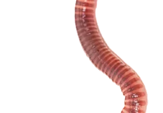 Sticker Создано в @sozdsti_bot - 8