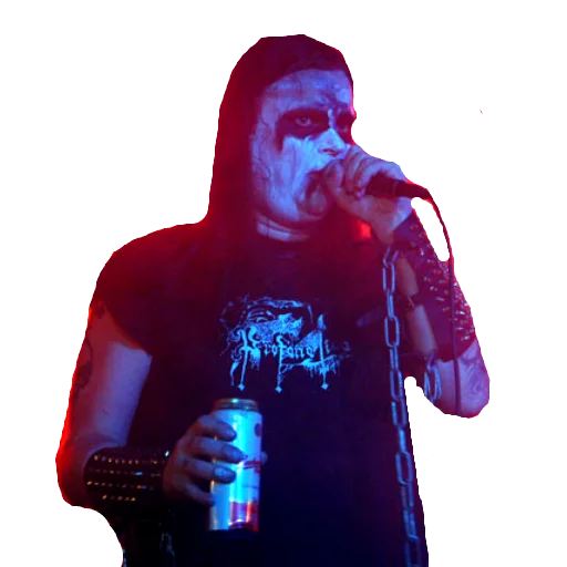 concert music microphone