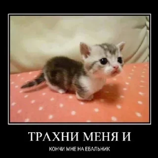 Стикер Больше стиков тут: @gostikers - 9