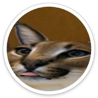 Sticker Шльописькр by @sticat_app - 7