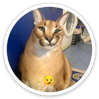 Sticker Шльописькр by @sticat_app - 4