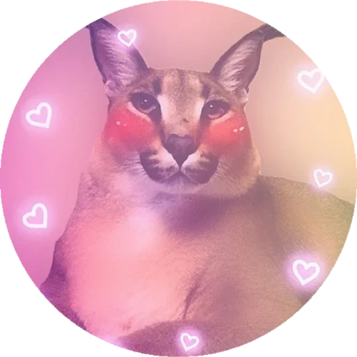 Шльописькр by @sticat_app - 