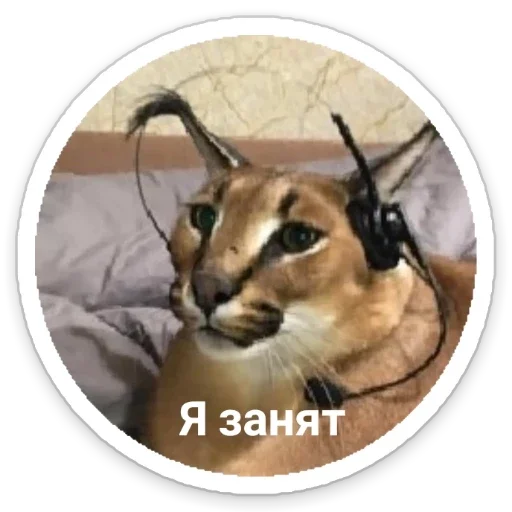 Sticker Шльописькр by @sticat_app - 10