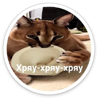 Sticker Шльописькр by @sticat_app - 9