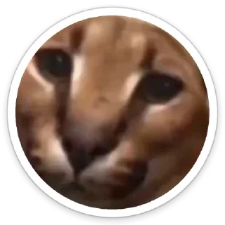 Sticker Шльописькр by @sticat_app - 0