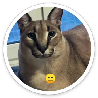 Sticker Шльописькр by @sticat_app - 3