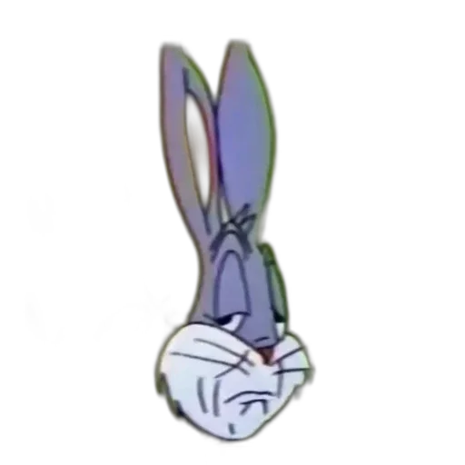 кролик кролики и зайцы кролик