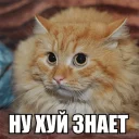 Стикер b0r1s - 10