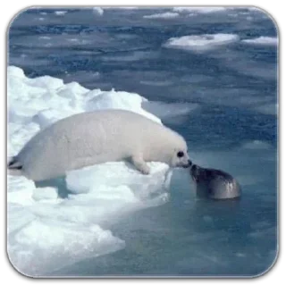 Стикер seals☆ - 10