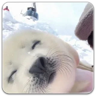 Стикер seals☆ - 8