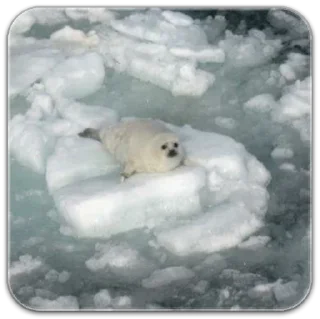 Стикер seals☆ - 7