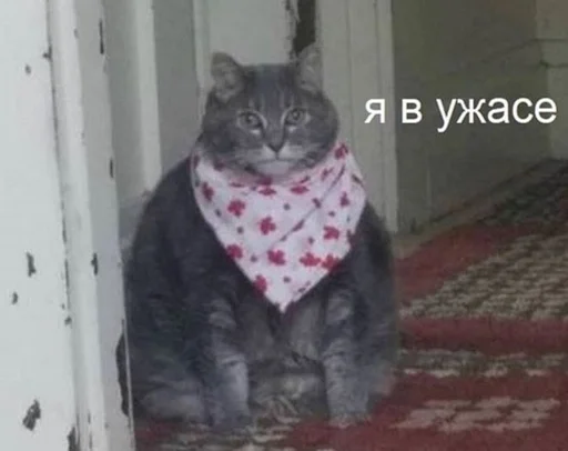 кошки малого и среднего размера кошачьи мех