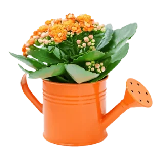 Sticker @CoFeeINka - 4