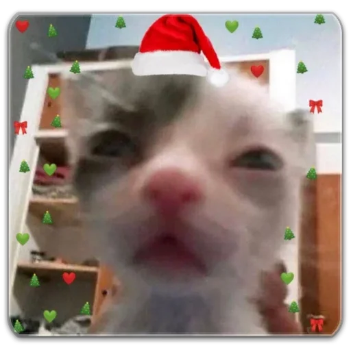 Стикер b2de7db1_8f24_497b_87ae_70d00a60374b_by_sticat_bot - 1