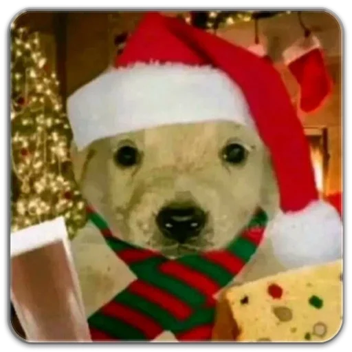 Стикер b2de7db1_8f24_497b_87ae_70d00a60374b_by_sticat_bot - 1