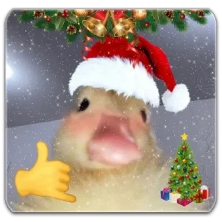 Стикер О, Великие Нары - 5