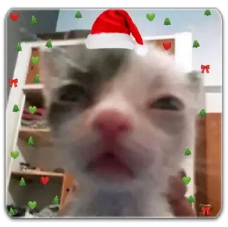 Стикер О, Великие Нары - 6