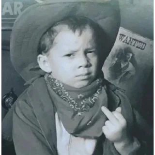 Стикер Мустанг 2 - 9