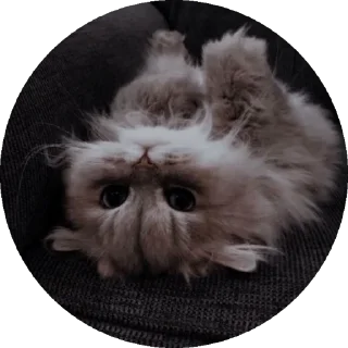 Sticker Что-то на своем - 1