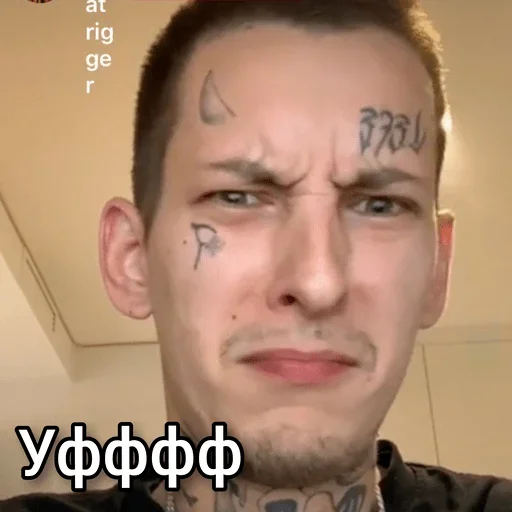 human face eyebrow forehead