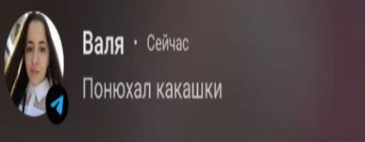 СМС скриншот знамя