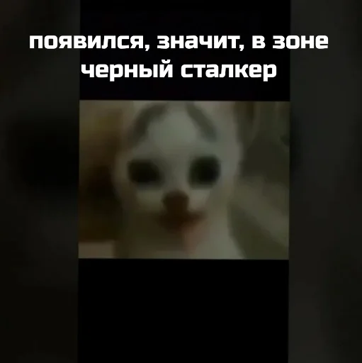 Sticker b46c98a1_c063_4879_ba00_1ee193fe4996_by_sticat_bot - 1