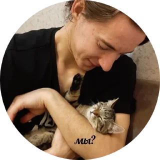 Sticker срингти - 8